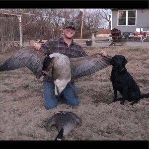 Meet your Posher, Kyler